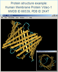 Protein structure example: Human (membrane protein) Vdac-1 In Ldao Micelles (MMDB ID 66539, PDB ID 2K4T). Click on this image to open the MMDB record, which provides access to the corresponding publication and interactive views of the structure in Cn3D.