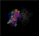 First of four PDB split files for the ribosome structure by Nobel Laureate Ramakrishnan, showing the 3D view for the portion of the structure that is in PDB record 2XFZ.