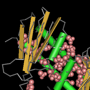 Conserved site includes 16 residues -Click on image for an interactive view with Cn3D
