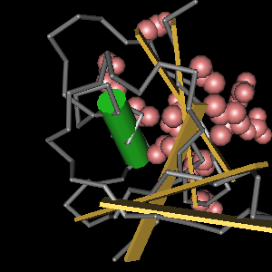 Conserved site includes 11 residues -Click on image for an interactive view with Cn3D