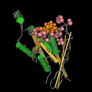 Conserved site includes 17 residues -Click on image for an interactive view with Cn3D
