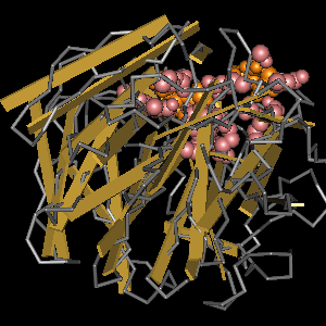 Conserved site includes 7 residues -Click on image for an interactive view with Cn3D