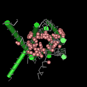 Conserved site includes 25 residues -Click on image for an interactive view with Cn3D