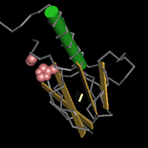 Conserved site includes 2 residues -Click on image for an interactive view with Cn3D
