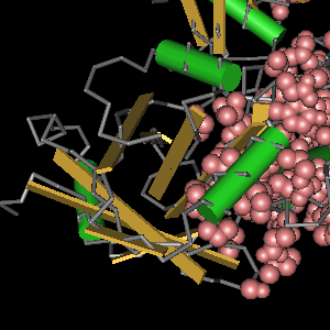 Conserved site includes 22 residues -Click on image for an interactive view with Cn3D