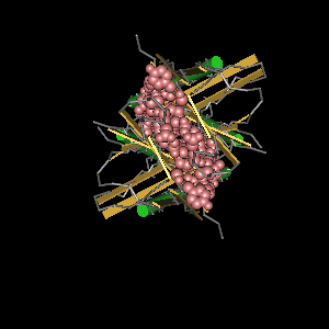 Conserved site includes 42 residues -Click on image for an interactive view with Cn3D