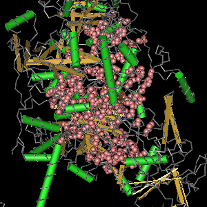 Conserved site includes 73 residues -Click on image for an interactive view with Cn3D