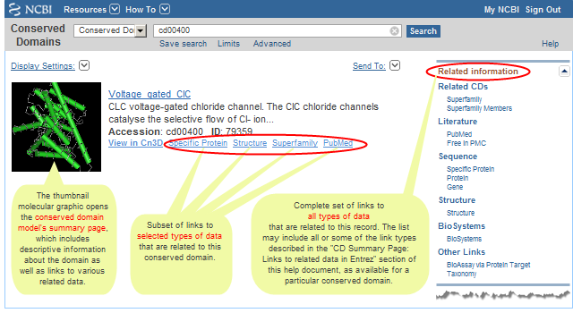 Example of links to related data that appear beside individual records on a Conserved Domain Database search results page. Click on the image to open the live CDD search results page that features the example shown here, the NCBI-curated domain cd00400: Voltage_gated_ClC.