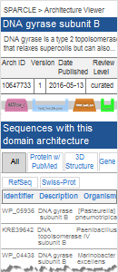 Thumbnail image of a SPARCLE summary page, showing proteins classified under th DNA gyrase subunit B architecture. Click on image for more information.