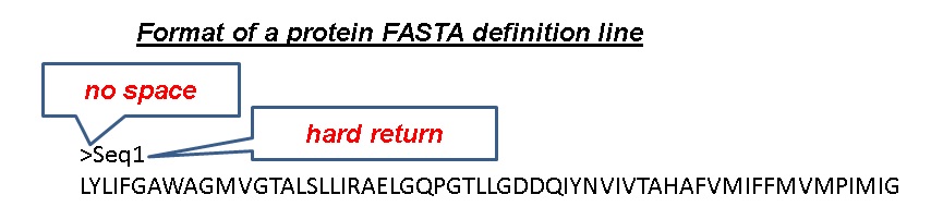 Format of a protein FASTA definition line showing placement of spaces and hard returns