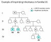 Figure 3. . The pedigree illustrates imprinting inheritance in Angelman syndrome (AS).