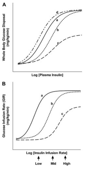 Figure 1. . Schematic representation of concentration-response relationships between plasma insulin concentrations and insulin-mediated whole-body glucose disposal.