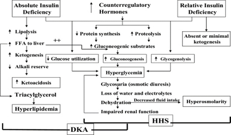 Figure 3. . Pathogenesis of DKA and HHS: stress, infection, or insufficient insulin.