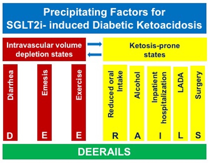 Figure 11. . Precipitating factors for DKA in patients taking SGLT2 inhibitors.