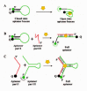 Figure 9. A) Signaling aptamers by one-chain molecular beacon approach.
