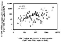 Figure 3. Expression of hTERT mRNA in colorectal cancers and in corresponding normal tissues, collected 10 cm away from the cancer.
