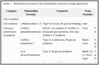 Table 1. Membrane proteins of the mammalian and yeast Golgi apparatus.