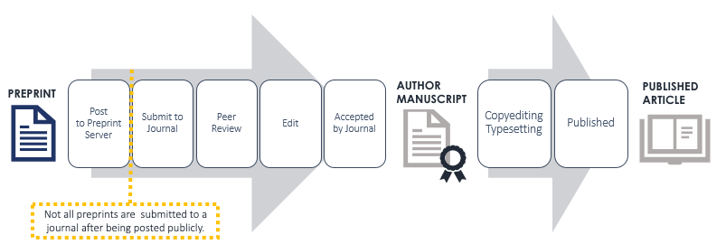 A paper's lifecycle from preprint to author manuscript to published article